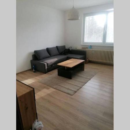 Apartman Blizko Hlavnej Stanice A Centra Mesta 바르데요프 외부 사진